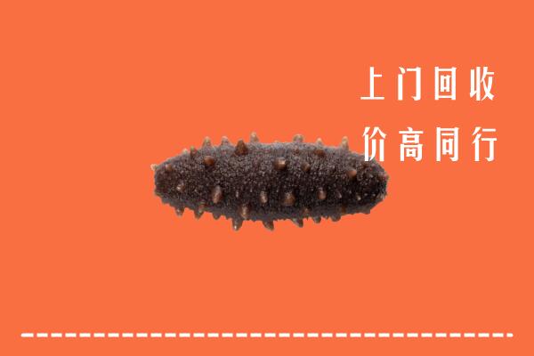 高价求购：大兴安岭地区回收海参