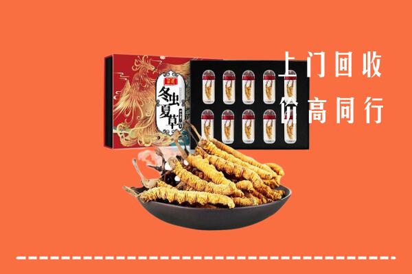 大兴安岭地区回收虫草